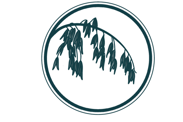 Milky Oats Tincture (Avena sativa)