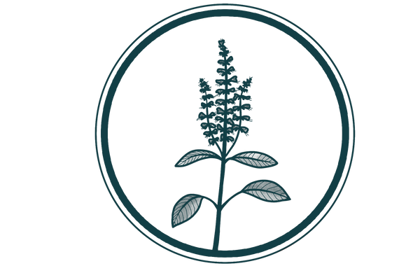 Needle & Thread Tincture Formula