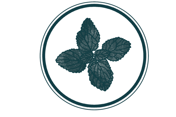 Lemon Balm Tincture (Melissa officinalis)