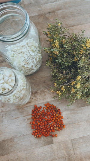 Humble Home Cleaner - All Purpose Cleaner