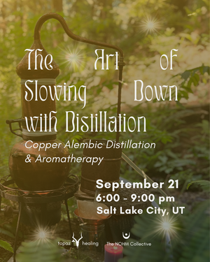 The Art of Slowing Down with Distillation