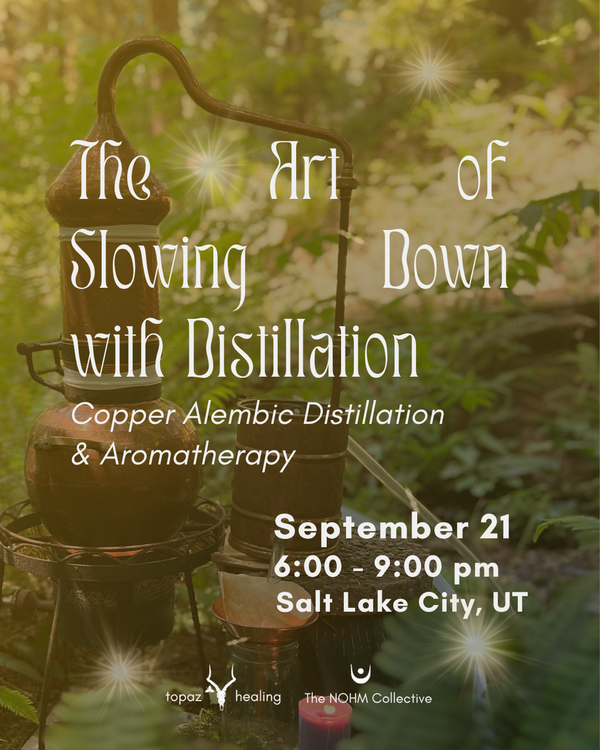 The Art of Slowing Down with Distillation