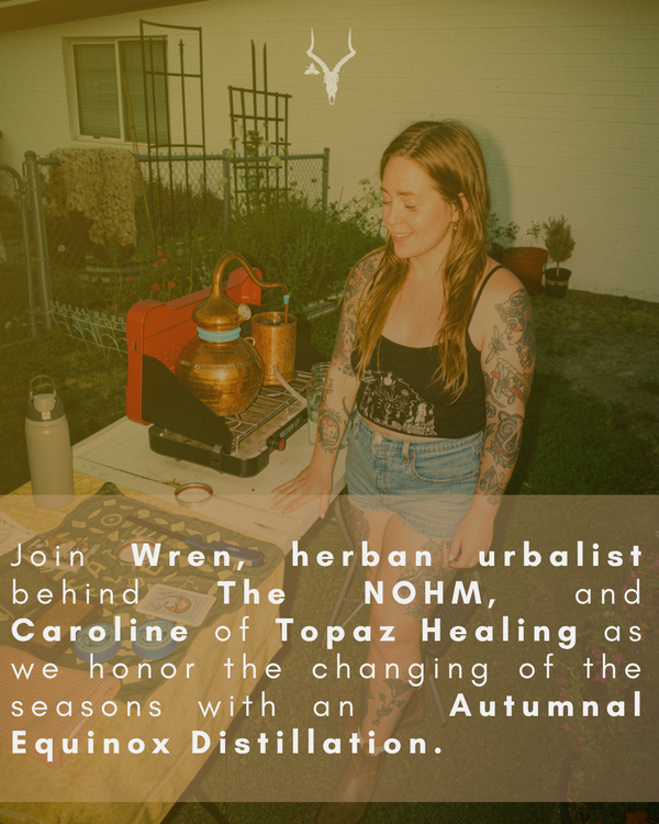 The Art of Slowing Down with Distillation