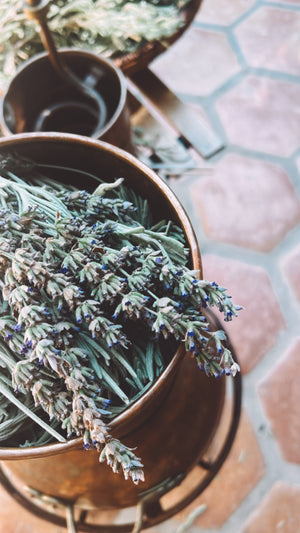 Lavender Hydrosol Toner