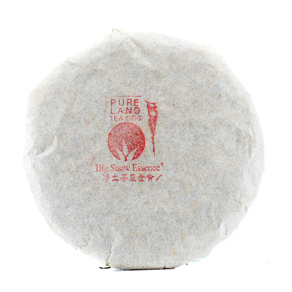 1990s Big Snow Essence Shuo Pu'er (100g)