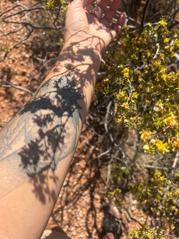 Creosote Body Oil