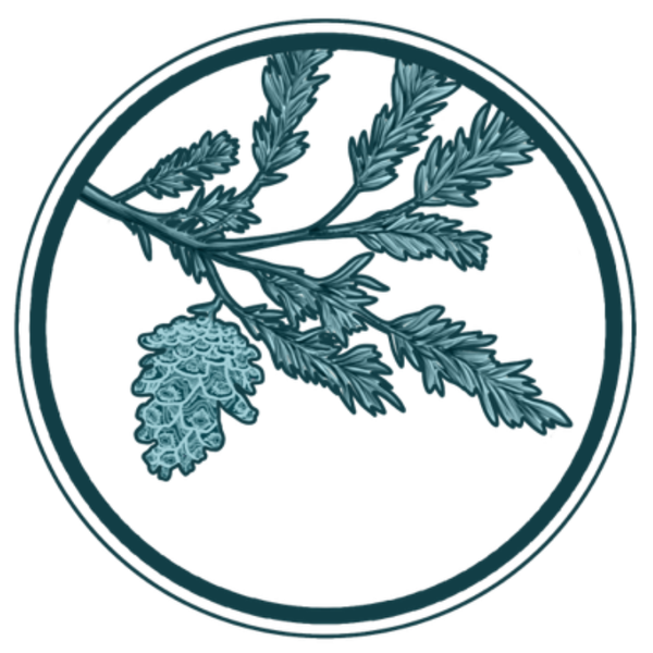 Pinyon Pine Hydrosol