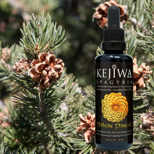 Pinon Pineal Spagyria Tincture