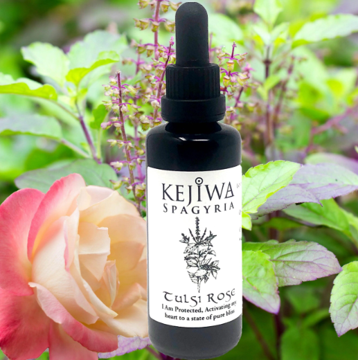 Tulsi Rose Spagyria Tincture