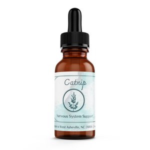 Catnip tincture (Nepeta cataria)