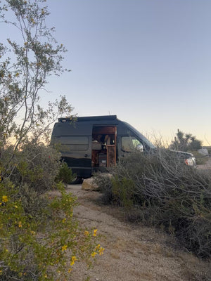 Creosote Body Oil