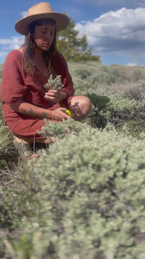 Sagebrush Hydrosol Toner