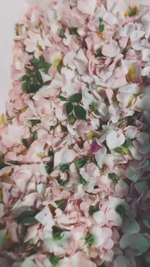 Rose Family Elixir
