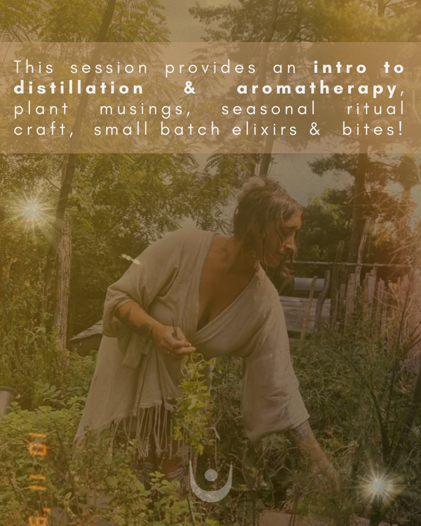 The Art of Slowing Down with Distillation